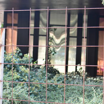 Opuštěná obřadní síň Opuštěná obřadní síň