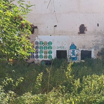 Agricultural area 2023