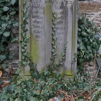 Friedhof 2022 Friedhof 2022