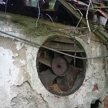 das Schloss, das jeder kennt...