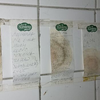 Disco Club 2023 Disco Club 2023