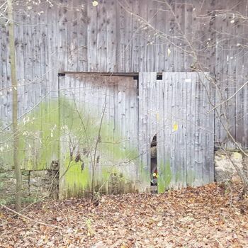 Urbex - Mühle bei V.......🐺🐺🐺🐺🐺🐺 Urbex - Mühle bei V.......🐺🐺🐺🐺🐺🐺