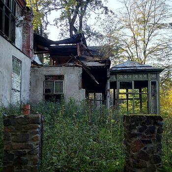 house tree architecture house tree architecture