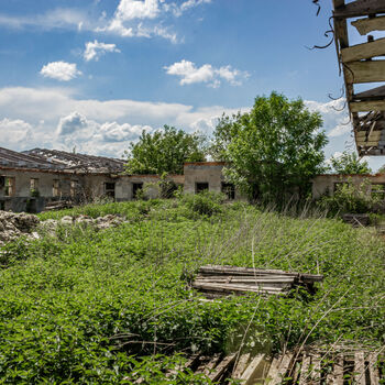 Landwirtschaftliche Fläche