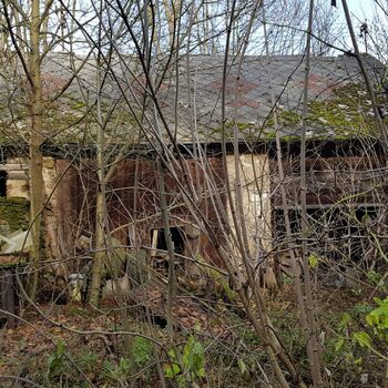 Urbex - Mühle bei V.......🐺🐺🐺🐺🐺🐺 Urbex - Mühle bei V.......🐺🐺🐺🐺🐺🐺