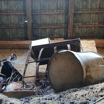 Homestead with a pond