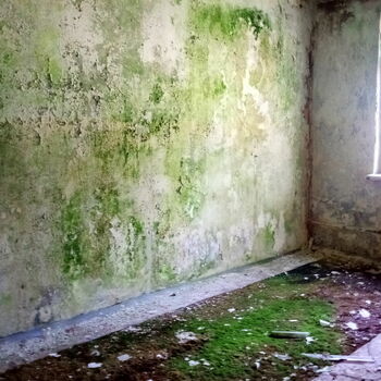 support forest sill step