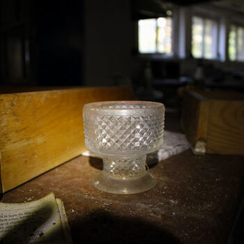 Schimmel für das Mittagessen