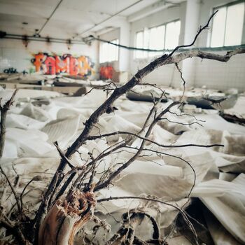 Ehemalige Bäckerei 2021