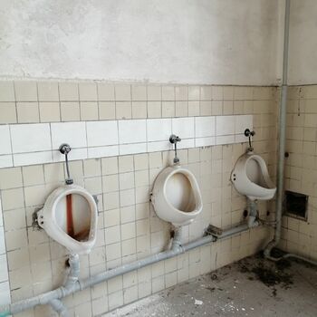 Toaleta místnost koupelna interiér koupel domácí vyčistit vedle sebe dům Toaleta místnost koupelna interiér koupel domácí vyčistit vedle sebe dům