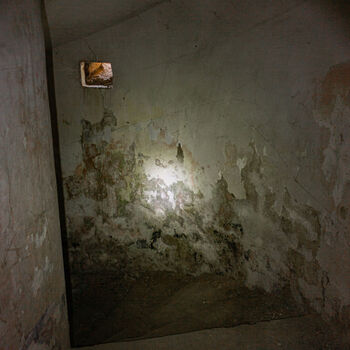 Landwirtschaftliche Fläche