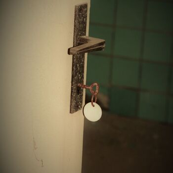 Die Dämmerung von Eleanor