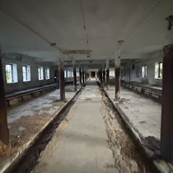 The Cow Farm The Cow Farm