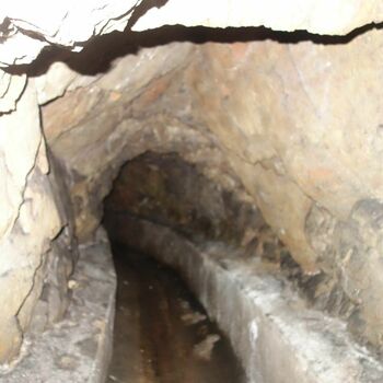 skála strom jeskyně