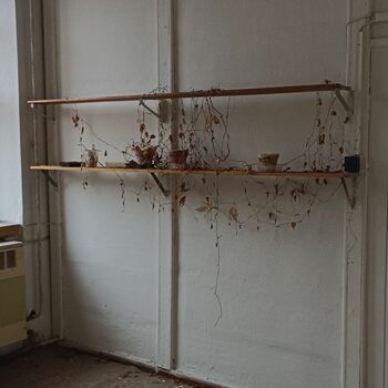 lednička bílé zboží domácí spotřebiče zeď dveře