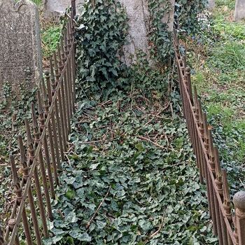 Jüdischer Friedhof 2024