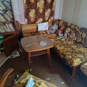 The House of the Schizophrenic The House of the Schizophrenic