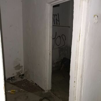 dveře Buňka staré