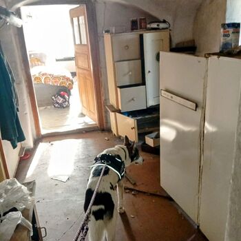 Tichý svědek tvrdého života