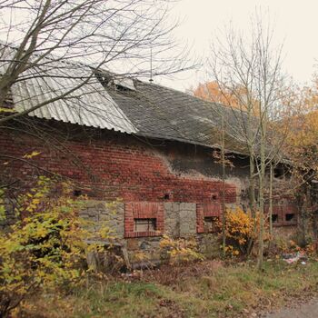 Beschreibende Nummer 35 Beschreibende Nummer 35