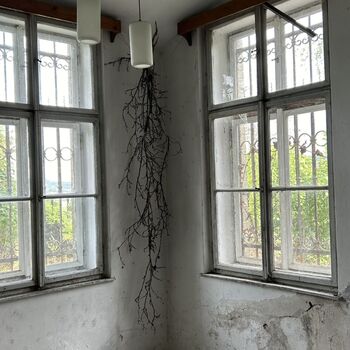 Villa des Hutmachers