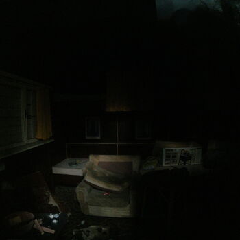 chata s propadlou střechou