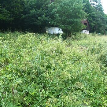 Urbex - Pionýrský tábor J.....  SK