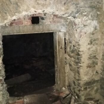 ruins of the blue house