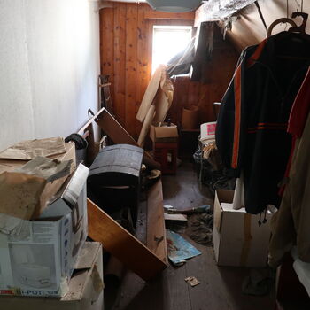 A grove in the borderlands.