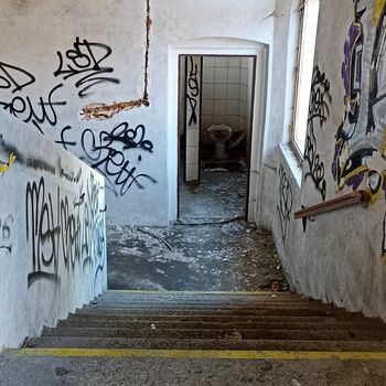sgrafity dekorace sgrafity dekorace