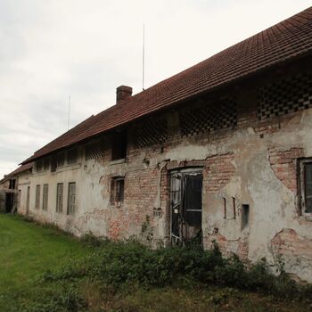 Pepper 2023 Pepper 2023