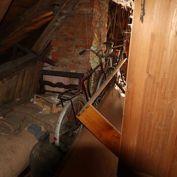 A grove in the borderlands.