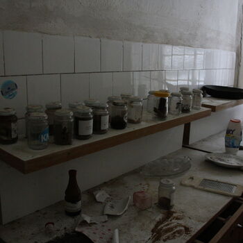 Wo ist der Graf geblieben? Das verlassene Schloss