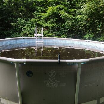 Vila rakouského zubaře 🦷🇦🇹