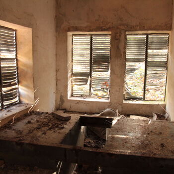 VEGA Group VEGA Group