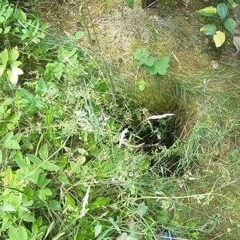 Urbex - Pionýrský tábor J.....  SK