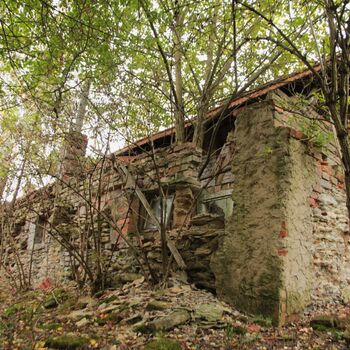 Pepper 2023 Pepper 2023