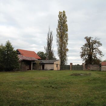 Pepper 2023 Pepper 2023