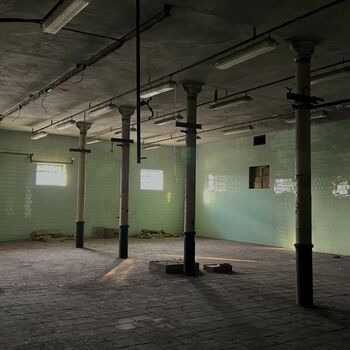 Ehemalige Dreher's Brauerei 🍺🏚️