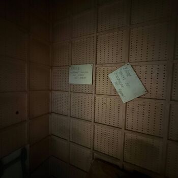 hory, DOLY, černý pes