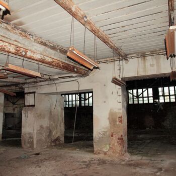 Die Dämmerung von Eleanor