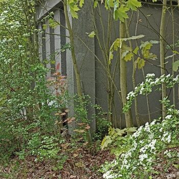 I don't know about 2023