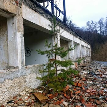 building structure greenhouse house wall