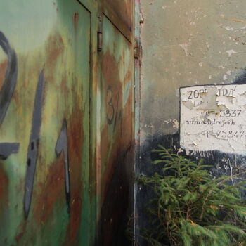 VEGA Group VEGA Group