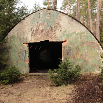 Maple 52 with swimming pool