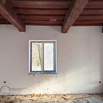 sheepfold - dead animals