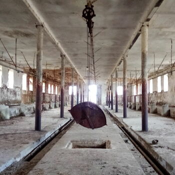 Abandoned cowshed and small abandoned plot 2021