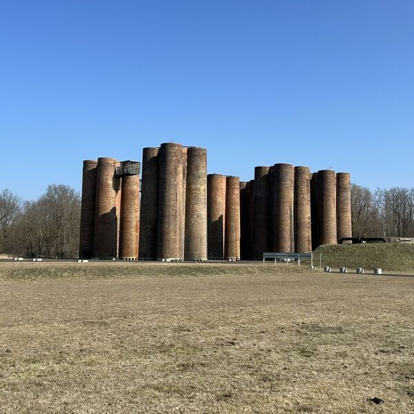 Lauchhammer biowheat - An unexpected ecological experiment 🌱🏭