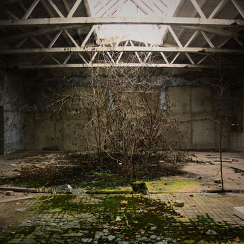 Haly plné tajemství... Opuštěná fabrika