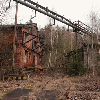 Around the rough mill